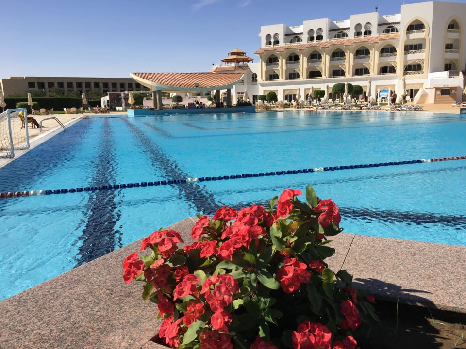 Schön Old Palace Resort Sahl Hasheesh