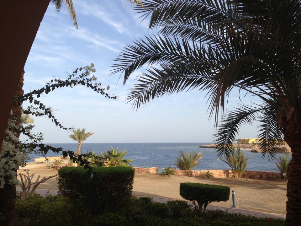 Aussicht auf die Bucht Steigenberger Coraya Beach - Adults only