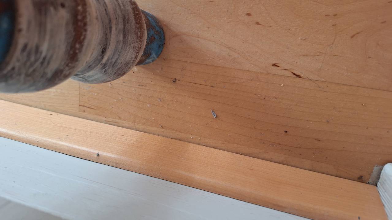 Zimmer Ferienapartement Liebling