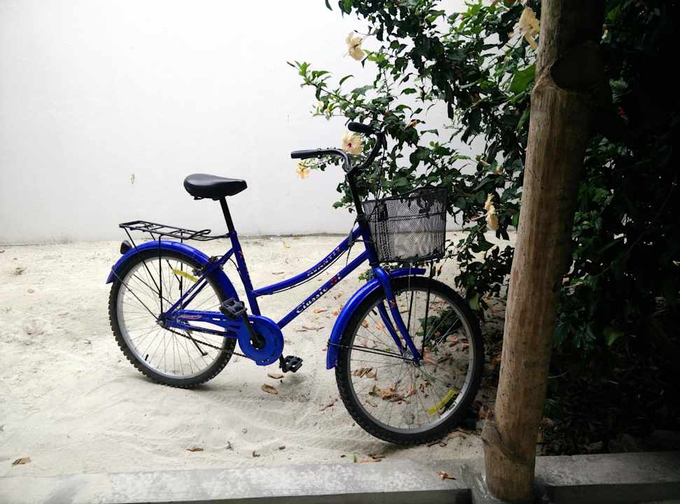 Bicycles Hotel Amra Palace