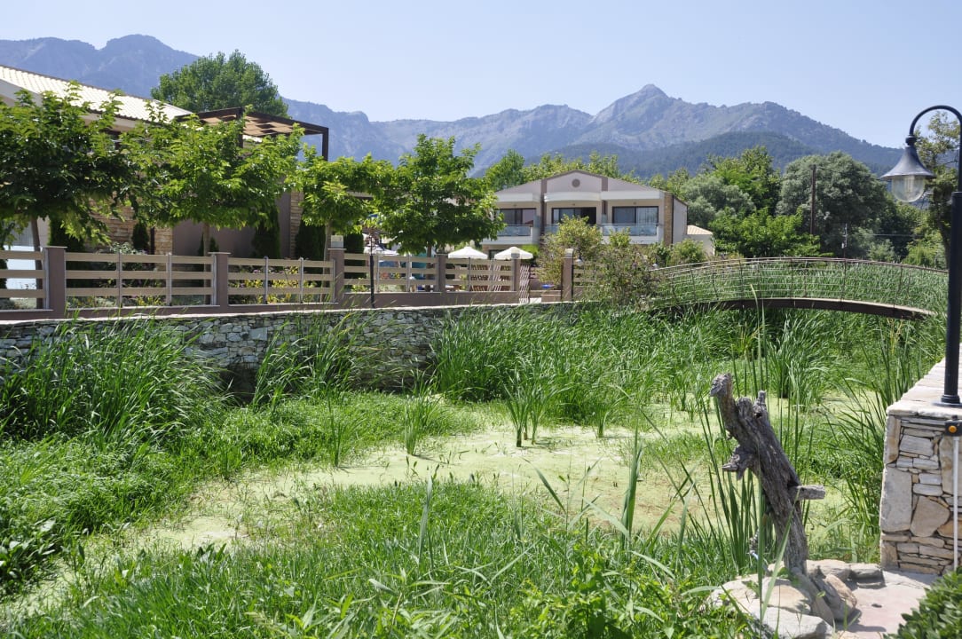 Bächlein, welches die Hotelanlage teilt Alexandra Golden Boutique - Adults only