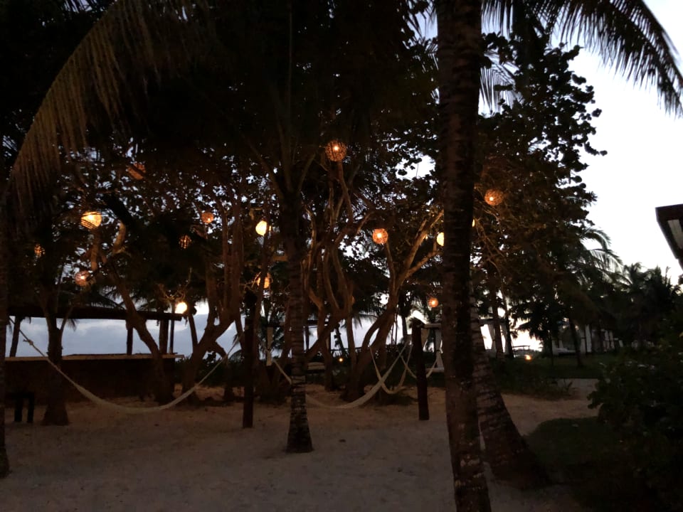 Gartenanlage Akumal Bay Beach & Wellness Resort