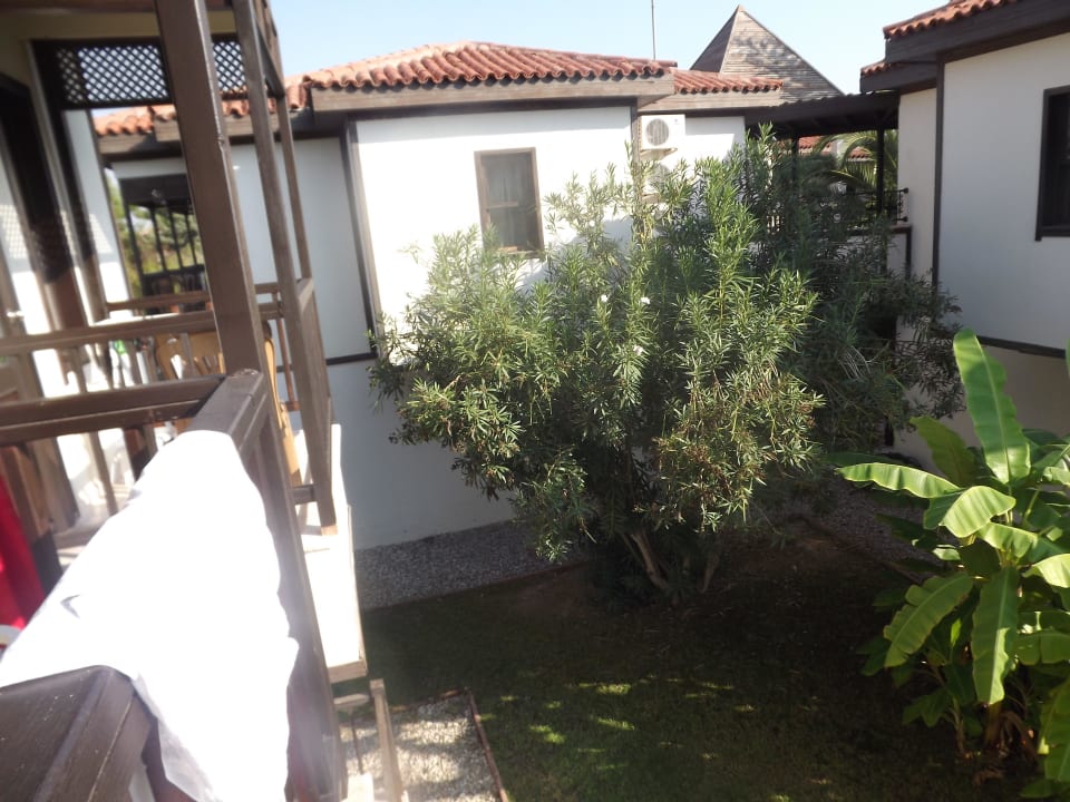 Вид из окна Hotel Club Nena