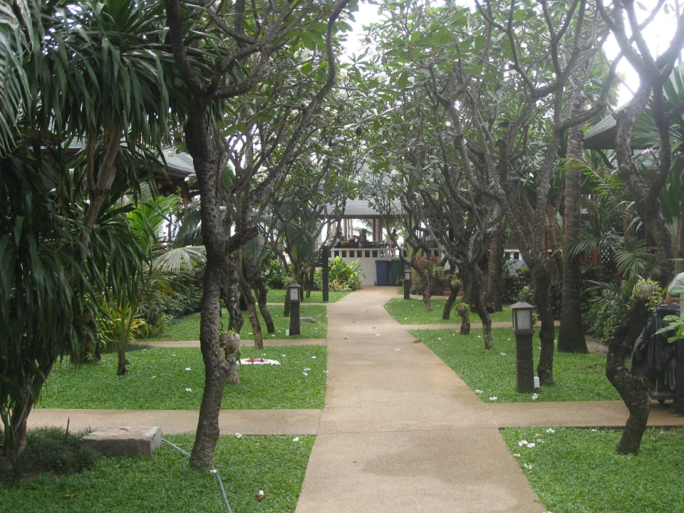 Schöne Gartenanlage Banana Fan Sea Resort
