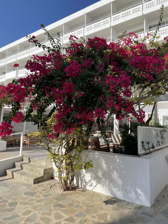 Außenansicht Hotel Nissi Beach Resort