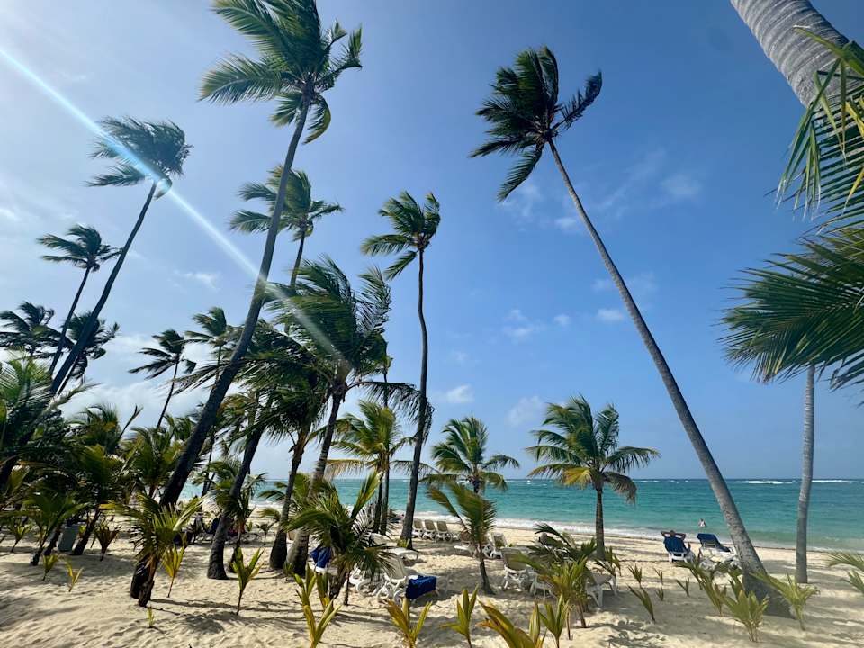 Strand Hotel Riu Palace Macao - Adults only