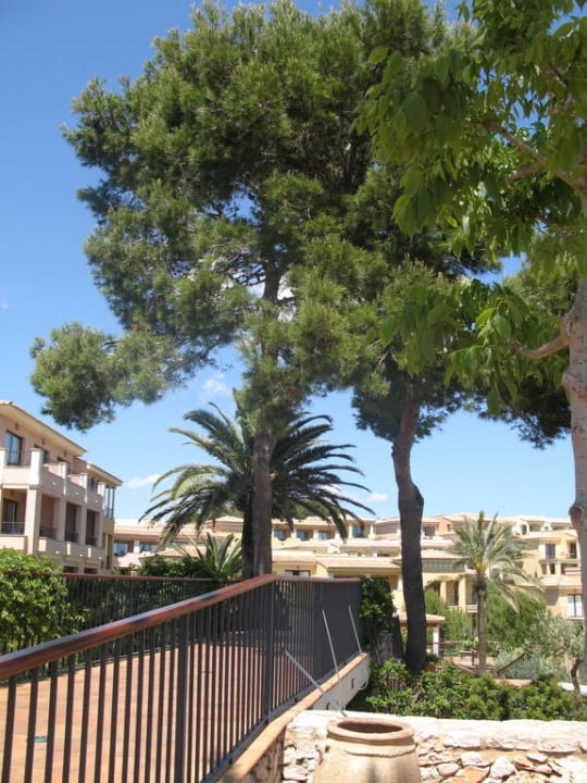 Blick in den Club ROBINSON CALA SERENA