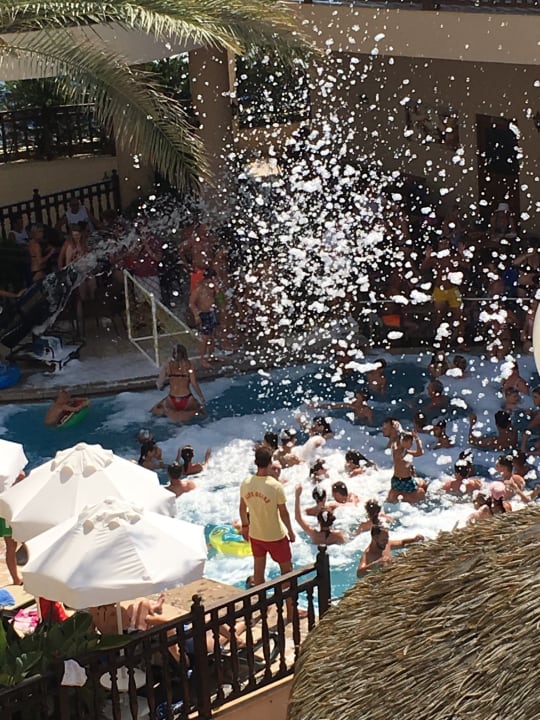 Pool Well Palace Side