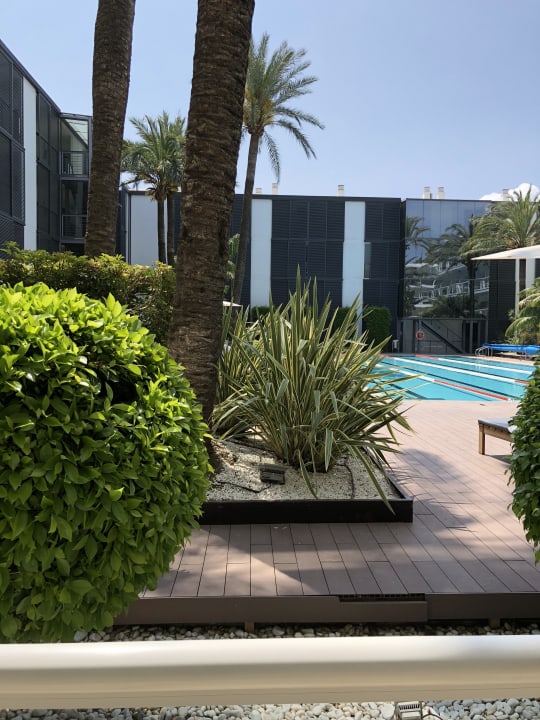 Pool Las Gaviotas Suites Hotel