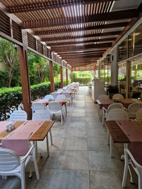 Gastro Well Palace Side