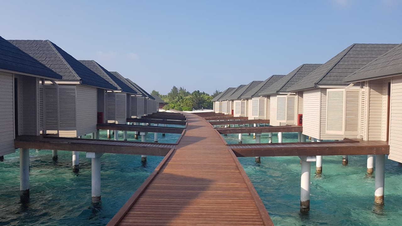 Zimmer Summer Island Maldives