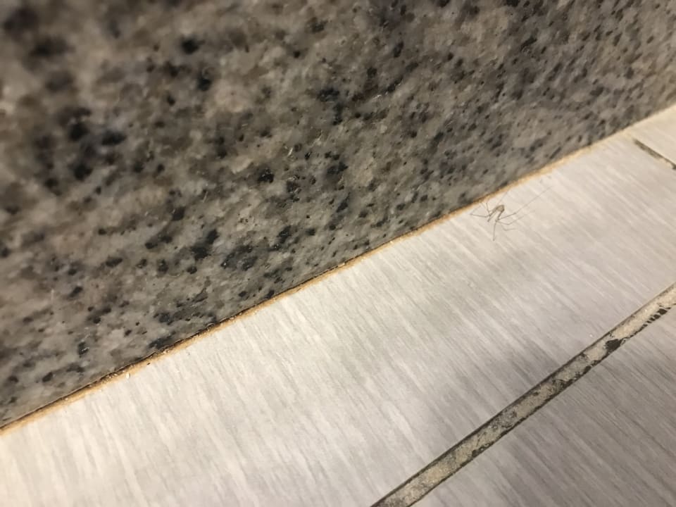 Zimmer Hotel Riu Republica - Adults only