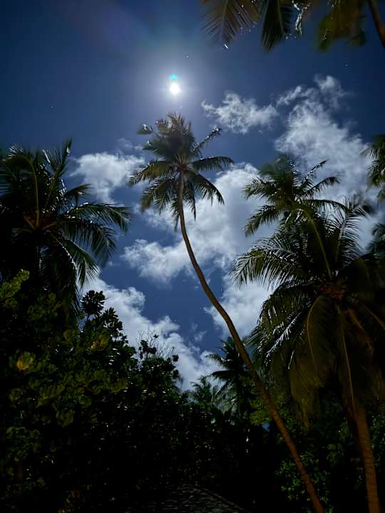 Gartenanlage Vilamendhoo Island Resort & Spa