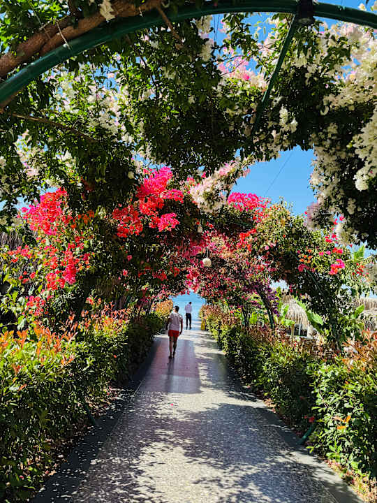 Gartenanlage Rubi Platinum Sign