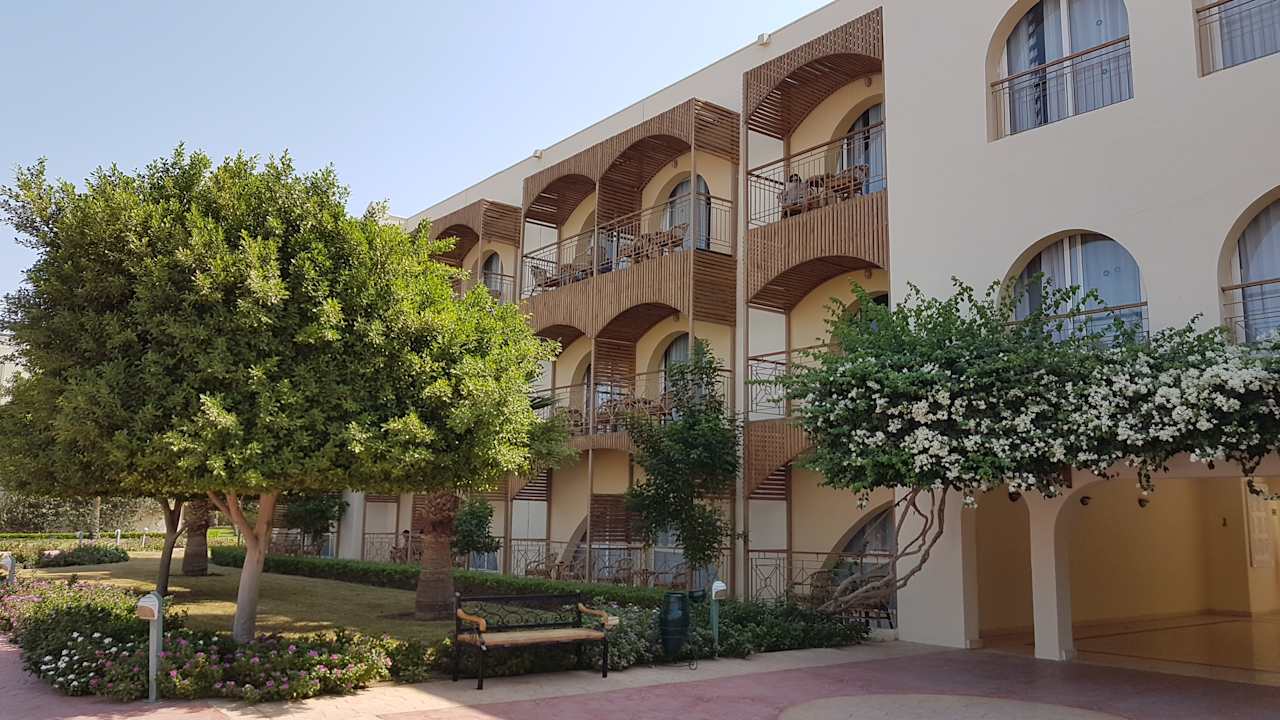 Gartenanlage Desert Rose