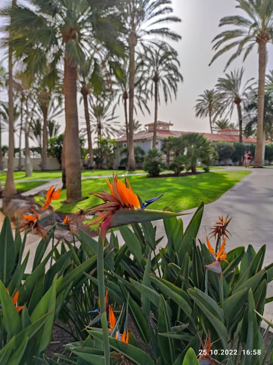 Gartenanlage ROBINSON JANDIA PLAYA