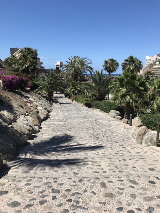 Ausblick LIVVO Costa Taurito