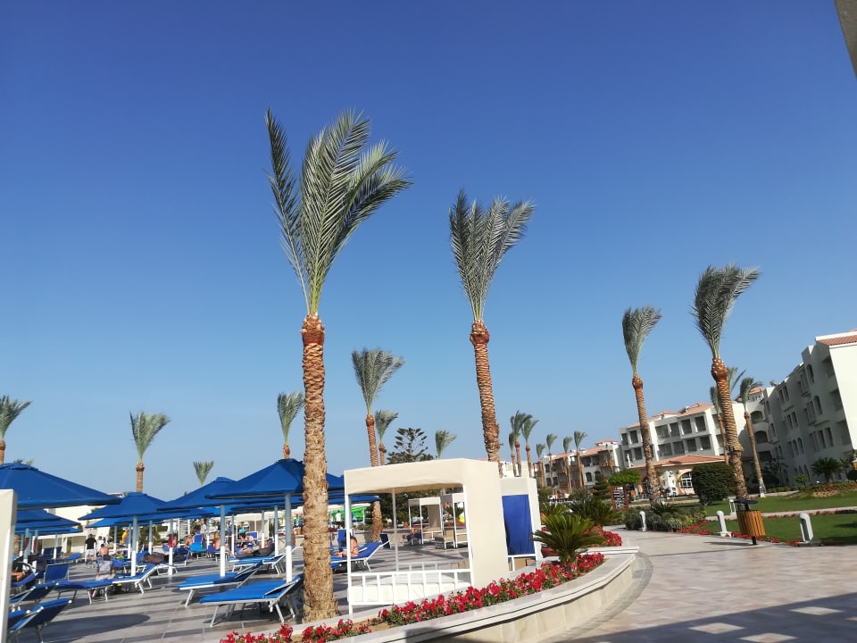 Sonstiges Pickalbatros Dana Beach Resort - Hurghada