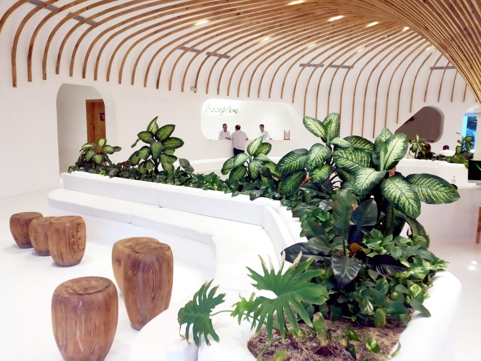 Lobby Meraki Resort (Adults Only)