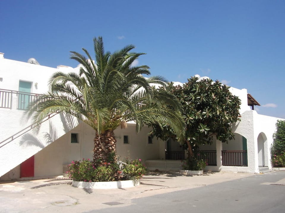 Gummibaum Elounda Breeze Resort