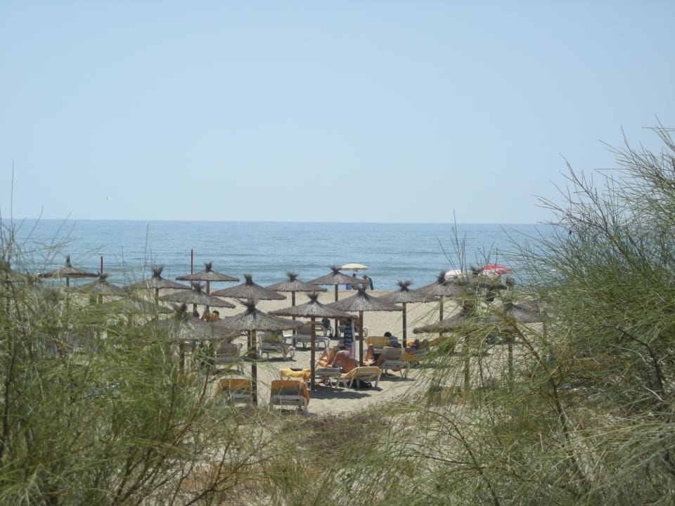 Sehr schön liegent ! TUI BLUE Isla Cristina Palace