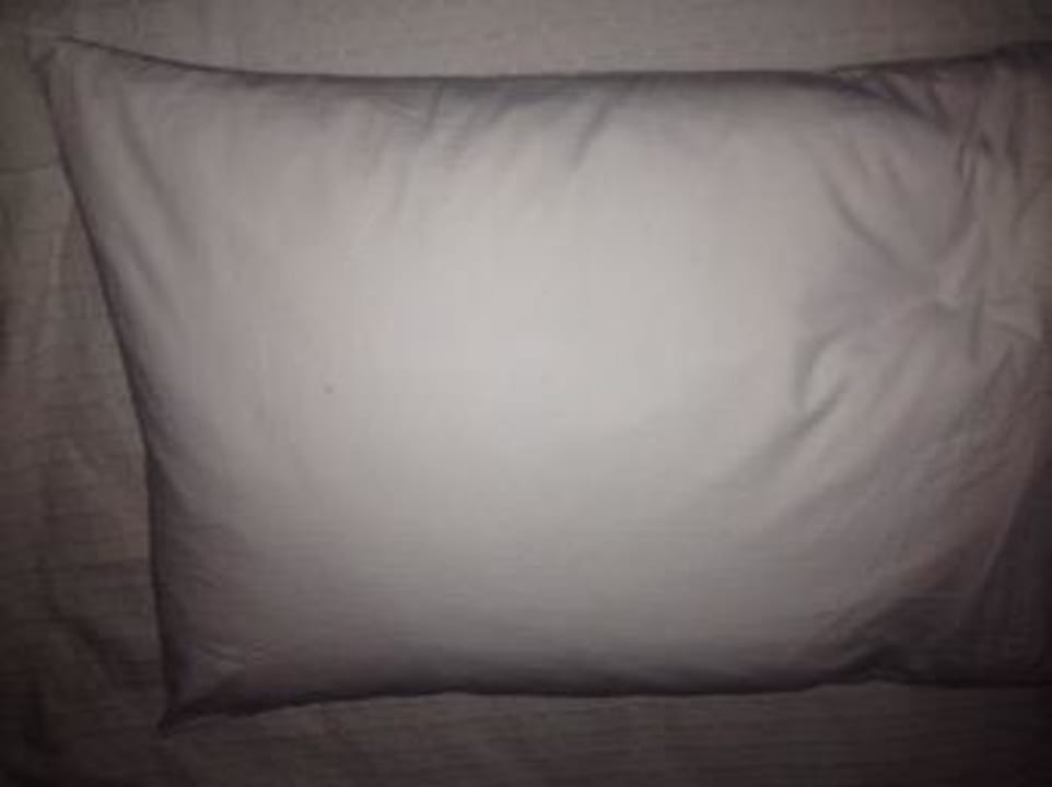 Traumurlaub Brasilien - Danke Thomas C.! Wish Natal