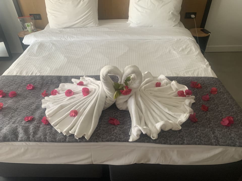 Zimmer Istion Club & Spa