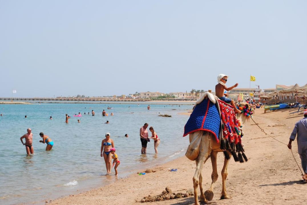 Strandtaxi Hotel JAZ Makadi Star & Spa