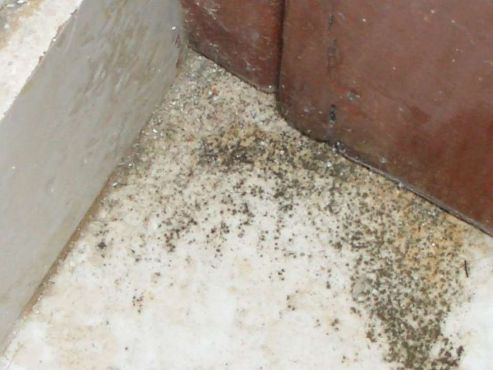 Zimmer 1 Royalton Splash Punta Cana