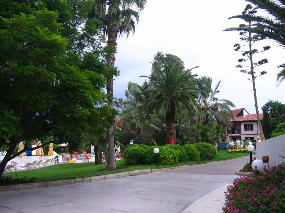 Территория отеля Sunrise Resort Hotel