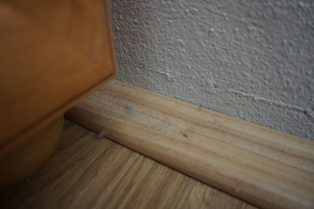 Zimmer Apartments Pomer