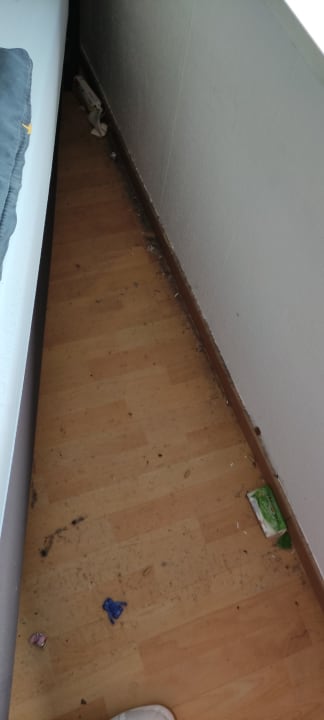 Zimmer alpha - spot Vöhringen