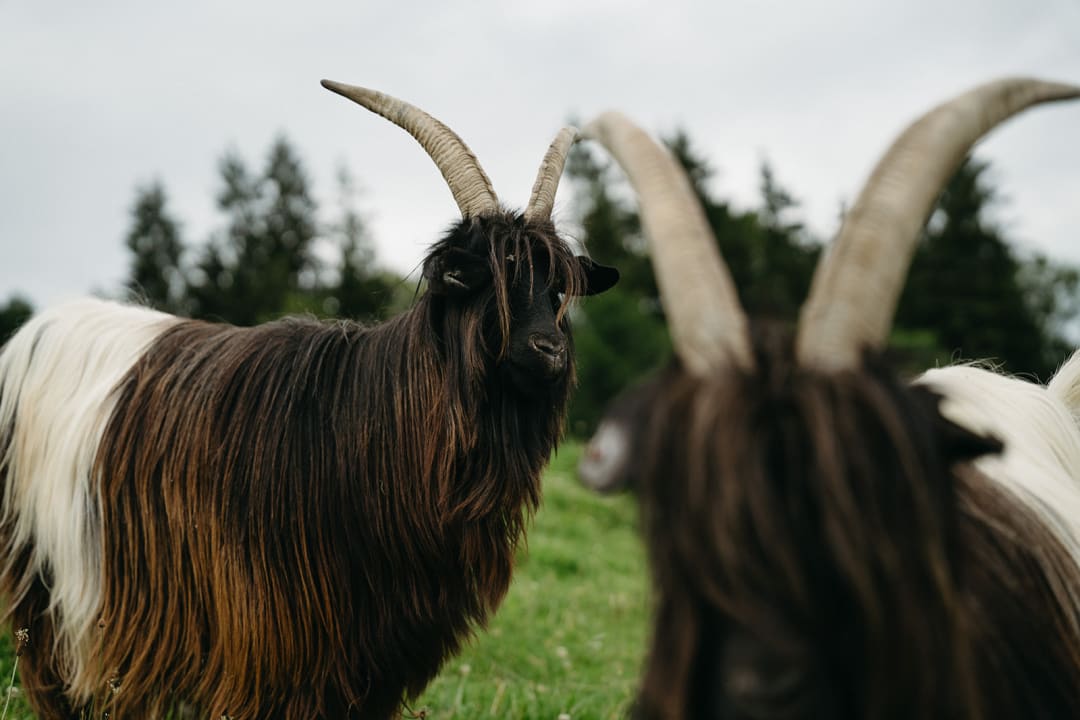 Sport & Freizeit Bussjägerhof