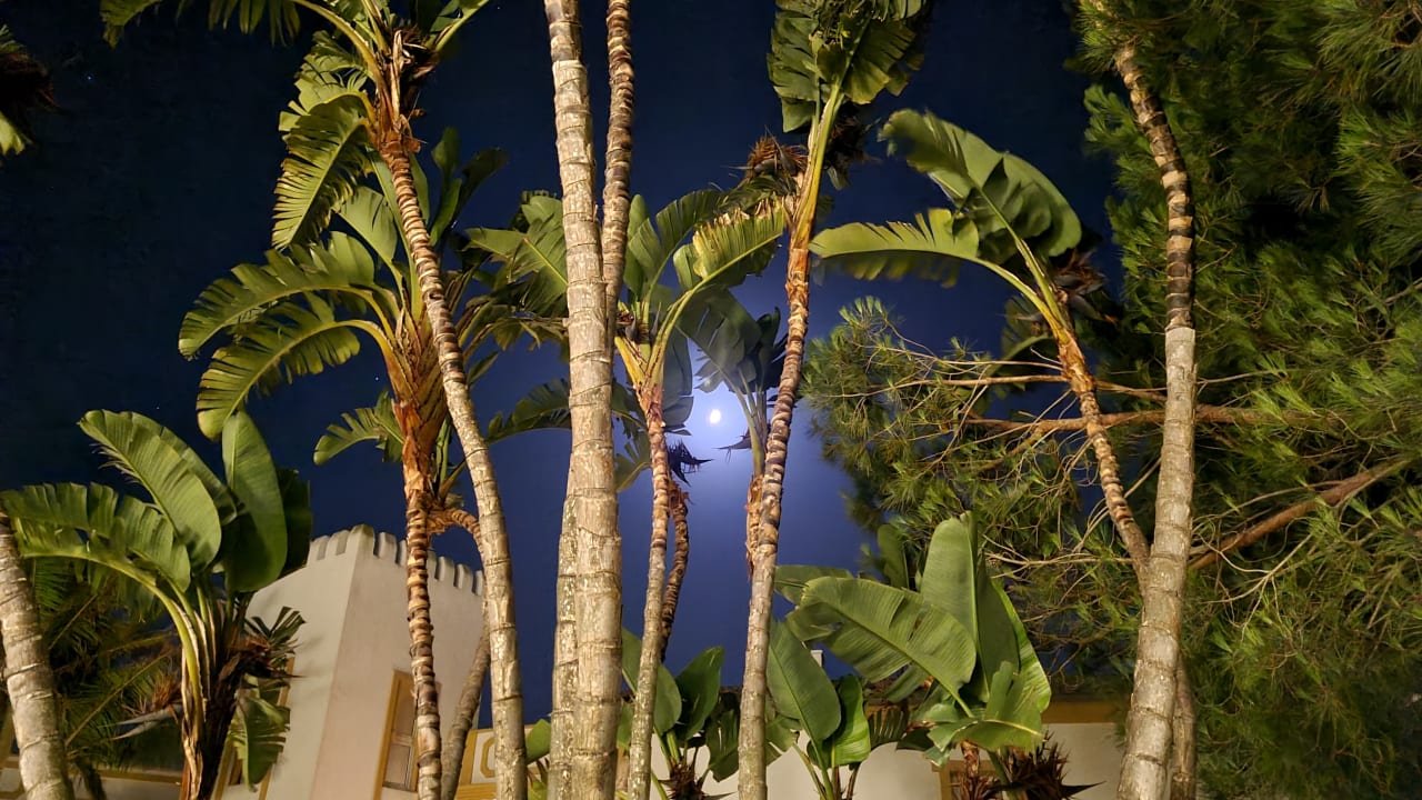 Gartenanlage Aldiana Club Andalusien