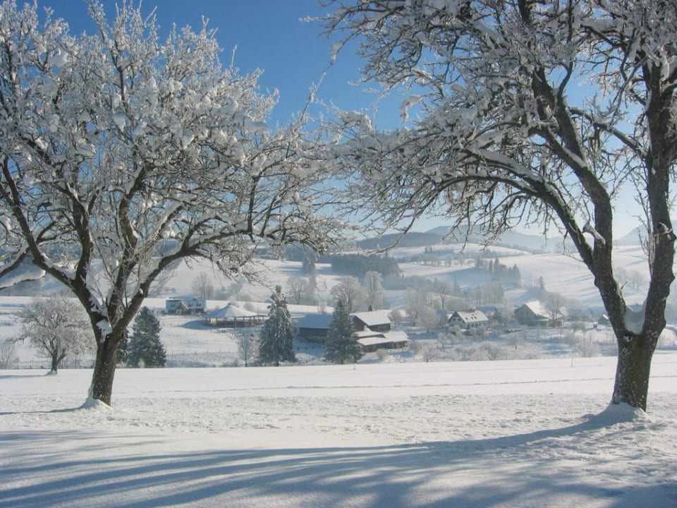 Winter in Fladnitz Ferienwohnungen Pferdehof Stockner