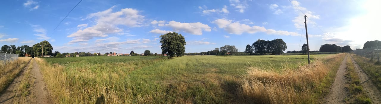 Ausblick Ferienwohnung Wildrose