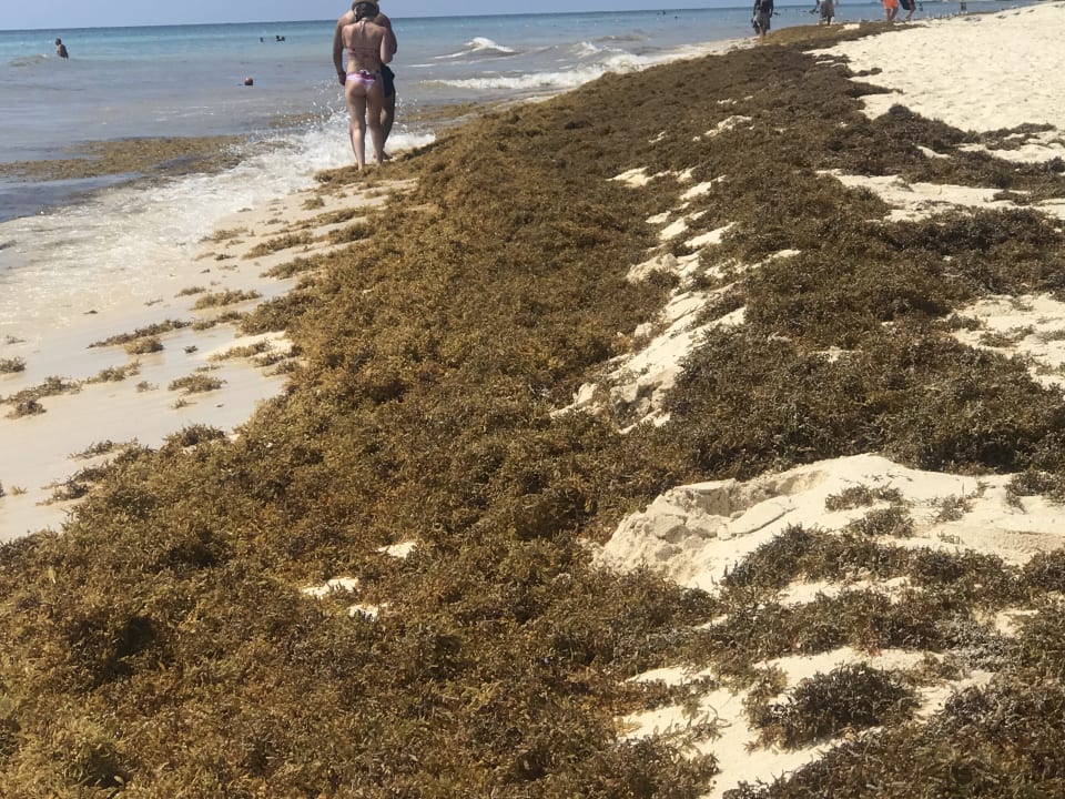 Strand Iberostar Waves Tucan