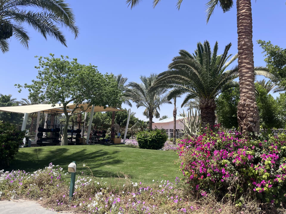 Gartenanlage Desert Rose