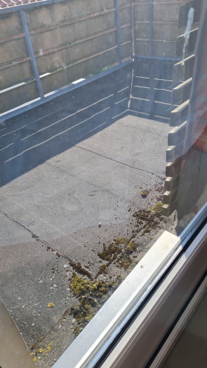 Sonstiges Ferienhaus Nr. 1