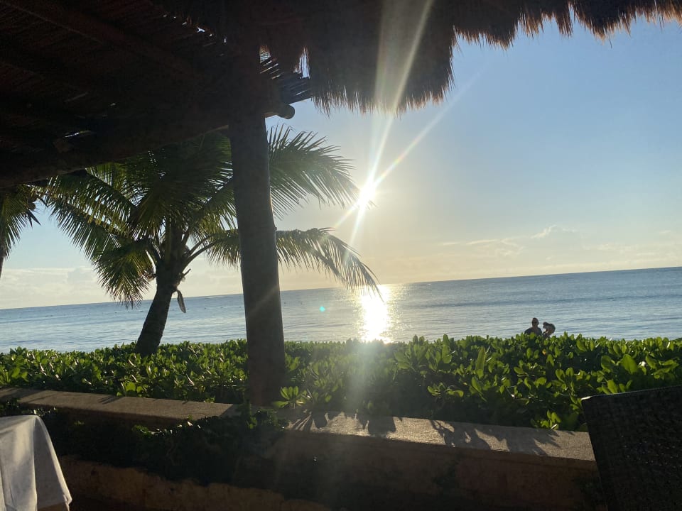 Gastro Akumal Bay Beach & Wellness Resort