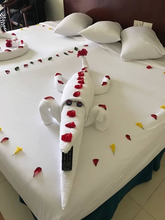 Zimmerservice Serenity Alpha Beach