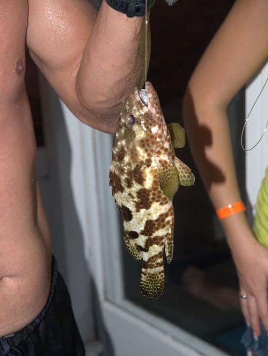 Guter Fang Adaaran Select Hudhuran Fushi - Premium All Inclusive