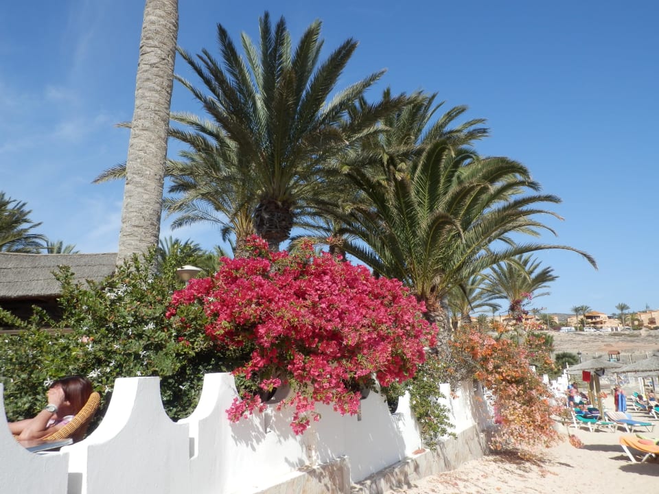 Blick vom Strand zur Strandbar SBH Costa Calma Beach Resort