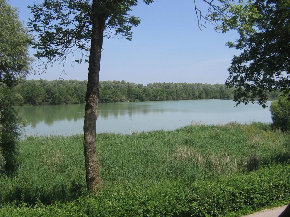 Blick vom Zimmer auf das Sommerwetter am Inn Pension Salzingerhof