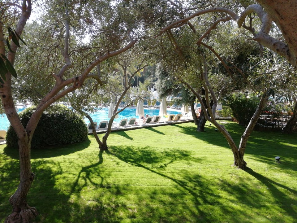 Gartenanlage Barut Hemera