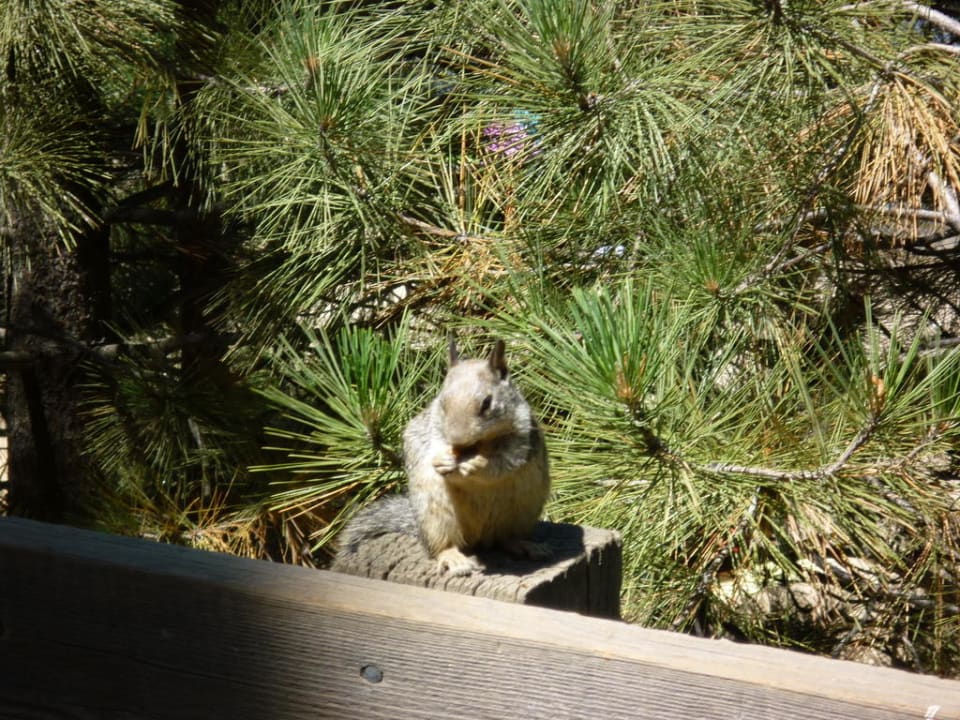 Seeluft macht hungrig Sail In Motel