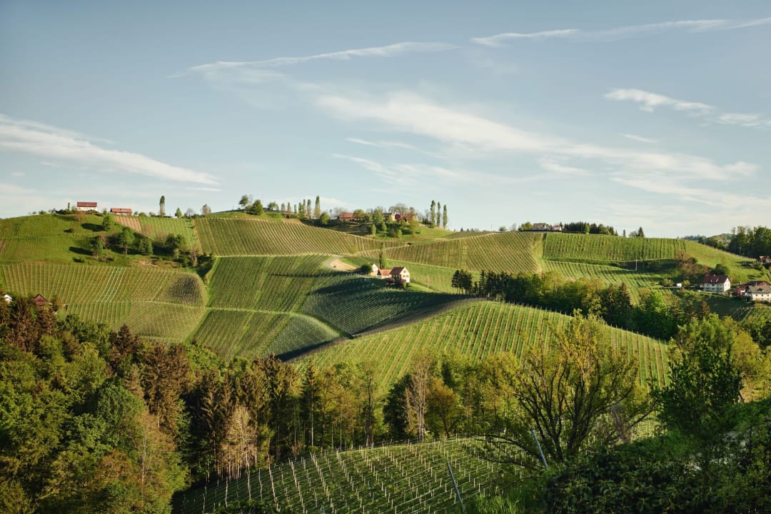 Ausblick Landgut am Pößnitzberg