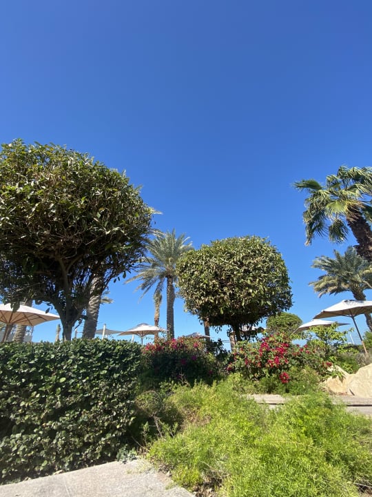 Gartenanlage Park Hyatt Abu Dhabi Hotel and Villas