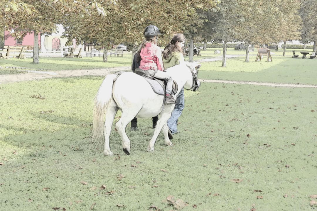 Jo Ferien & Pferdehof Gut Klein Nienhagen