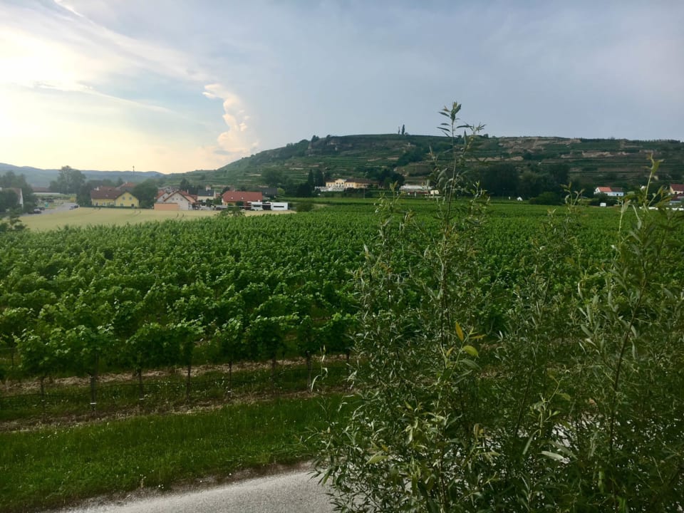Sonstiges Landhaus Weinblick